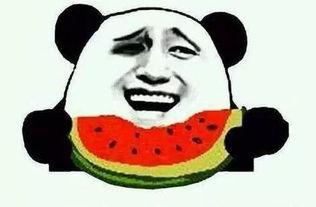娱乐吃瓜群众1,揭秘娱乐圈背后的那些事儿 娱乐吃瓜群众1,揭秘娱乐圈背后的那些事儿