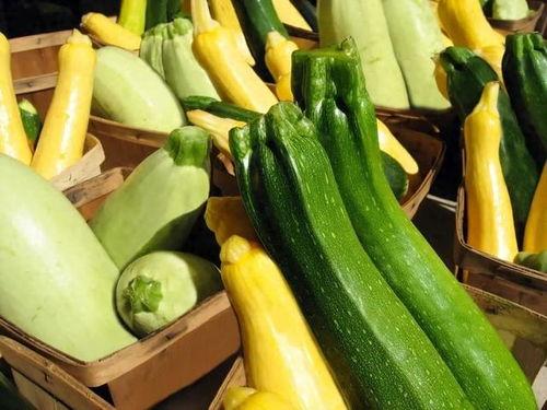 娱乐吃瓜项目推荐