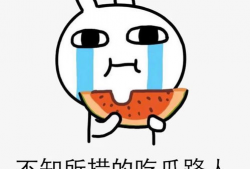 吃瓜网免费独家揭秘呱呱,吃瓜网独家免费解析呱呱背后的秘密