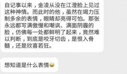 娱乐吃瓜酱退税,揭秘明星们的税务秘密与福利
